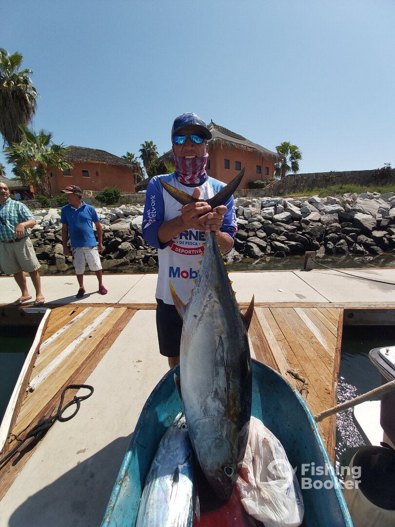 San Jose del Cabo Report Photo 0