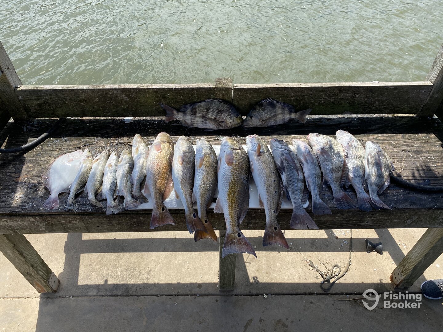 Texas City Report Photo 0