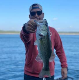 Overlooked Fall Bass Patterns