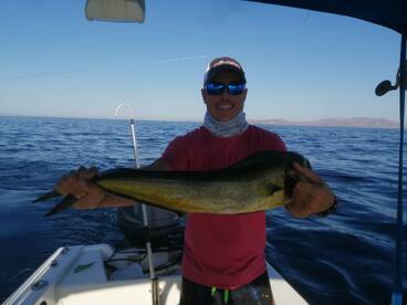  October an ideal month to fish mahi mah