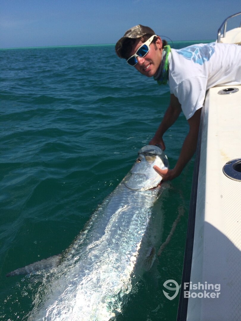 Sarasota Report Photo 0