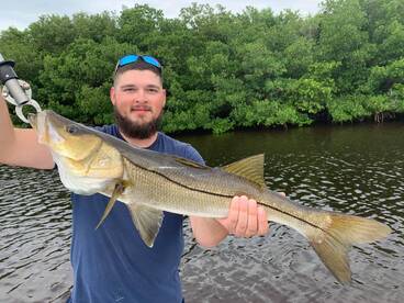 Big Snook
