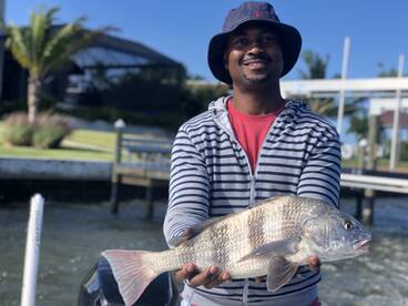 Sarasota Report Photo 2