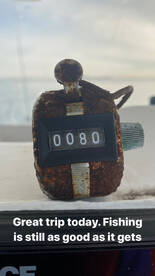 80 Stripers caught today on a 4hr trip