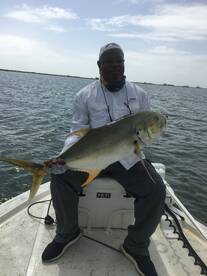 Jack Crevalle