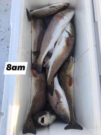 Redfish action was HOT!