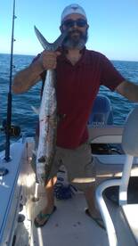 Murrells Inlet Report Photo 2