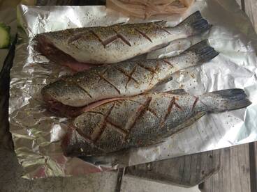 Inshore/Trout and Redfish