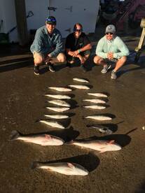 Poquoson Report Photo 1