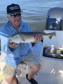 Marco Island Report Photo 1