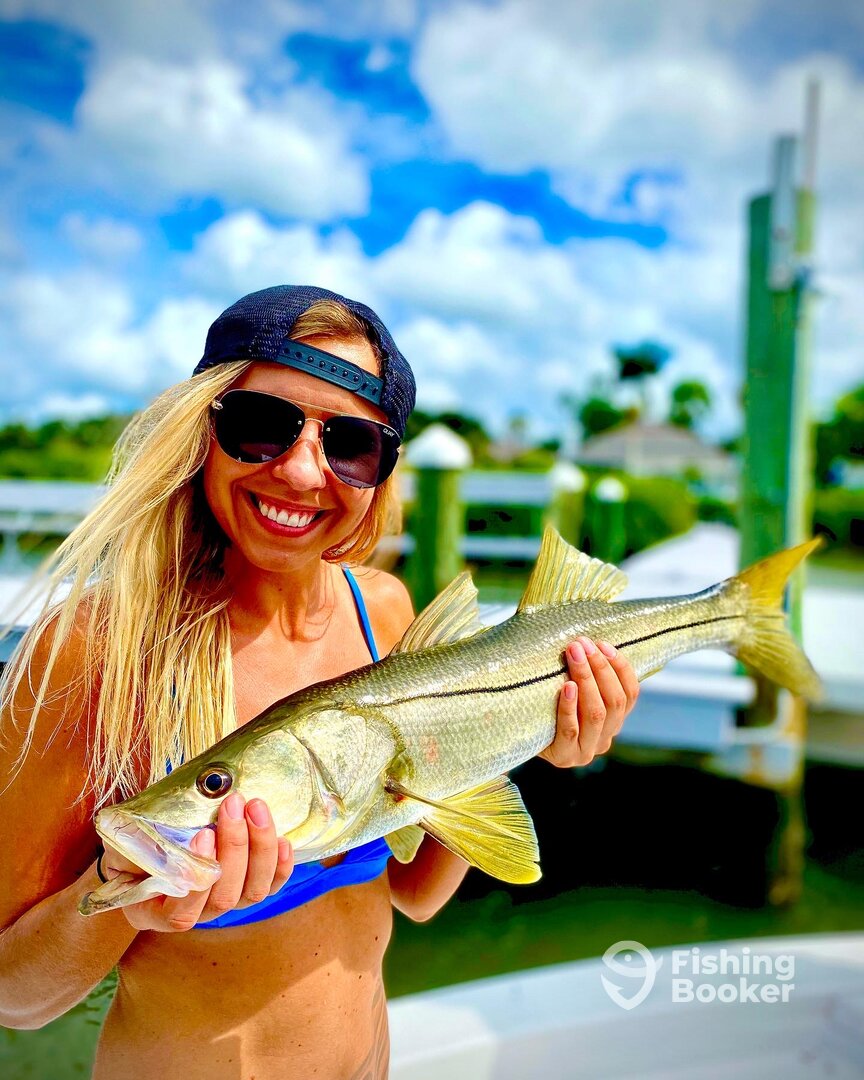 Sarasota Report Photo 0