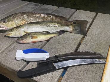 Rain and Thunder Storms