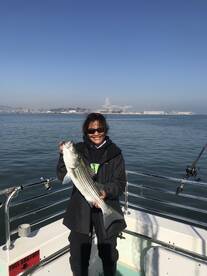 San Francisco Report Photo 1