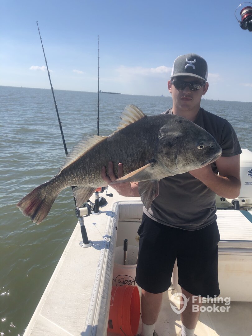 Galveston Report Photo 0