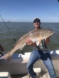 Galveston Report Photo 1