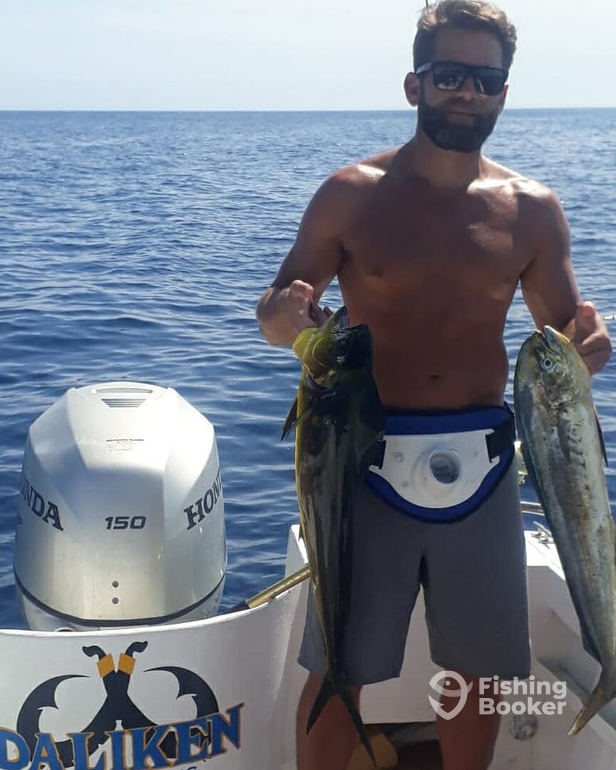 San Jose del Cabo Report Photo 0