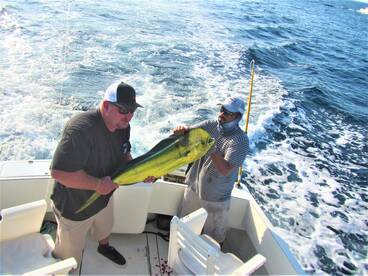 Cabo San Lucas Report Photo 2