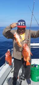 Ensenada Report Photo 1