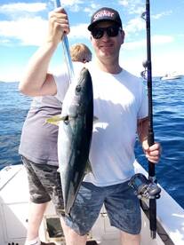 Yellow tail season is here