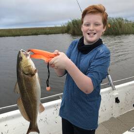 Pre Zeta in Shell Beach