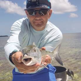 Big Pine Key Report Photo 1