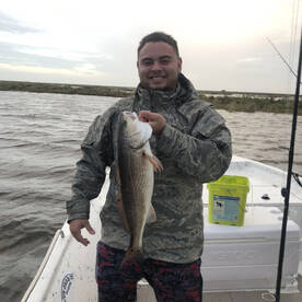 FIlling the Box in Shell Beach