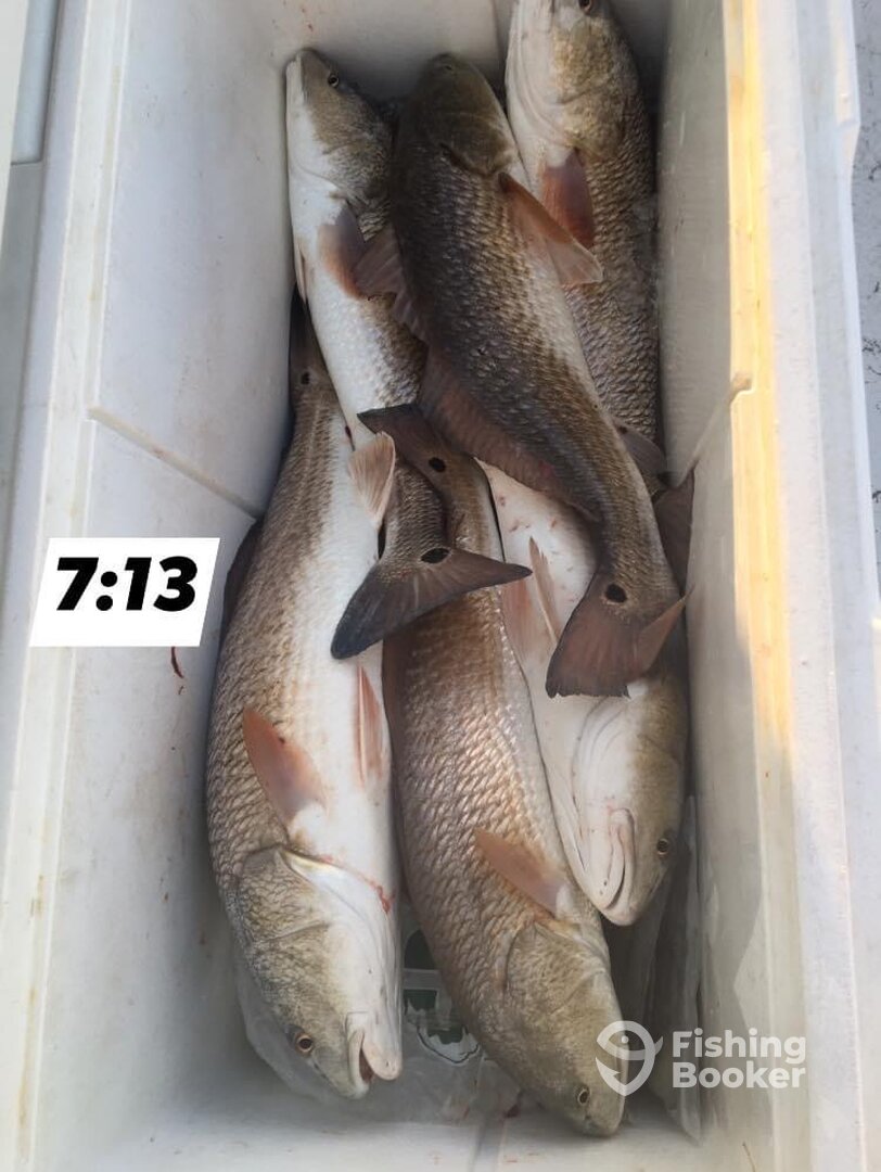 Port O'Connor Report Photo 0