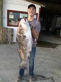 Poquoson Report Photo 2