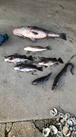 Poquoson Report Photo 1
