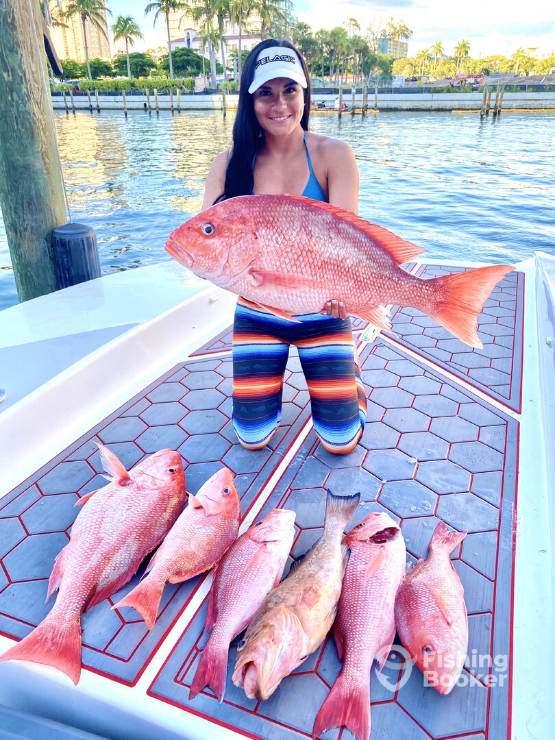 Sarasota Report Photo 0