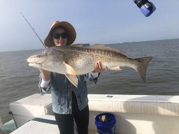 Galveston Report Photo 1