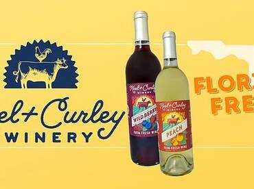 Things To Do Near Tampa... AFTER Your Fi