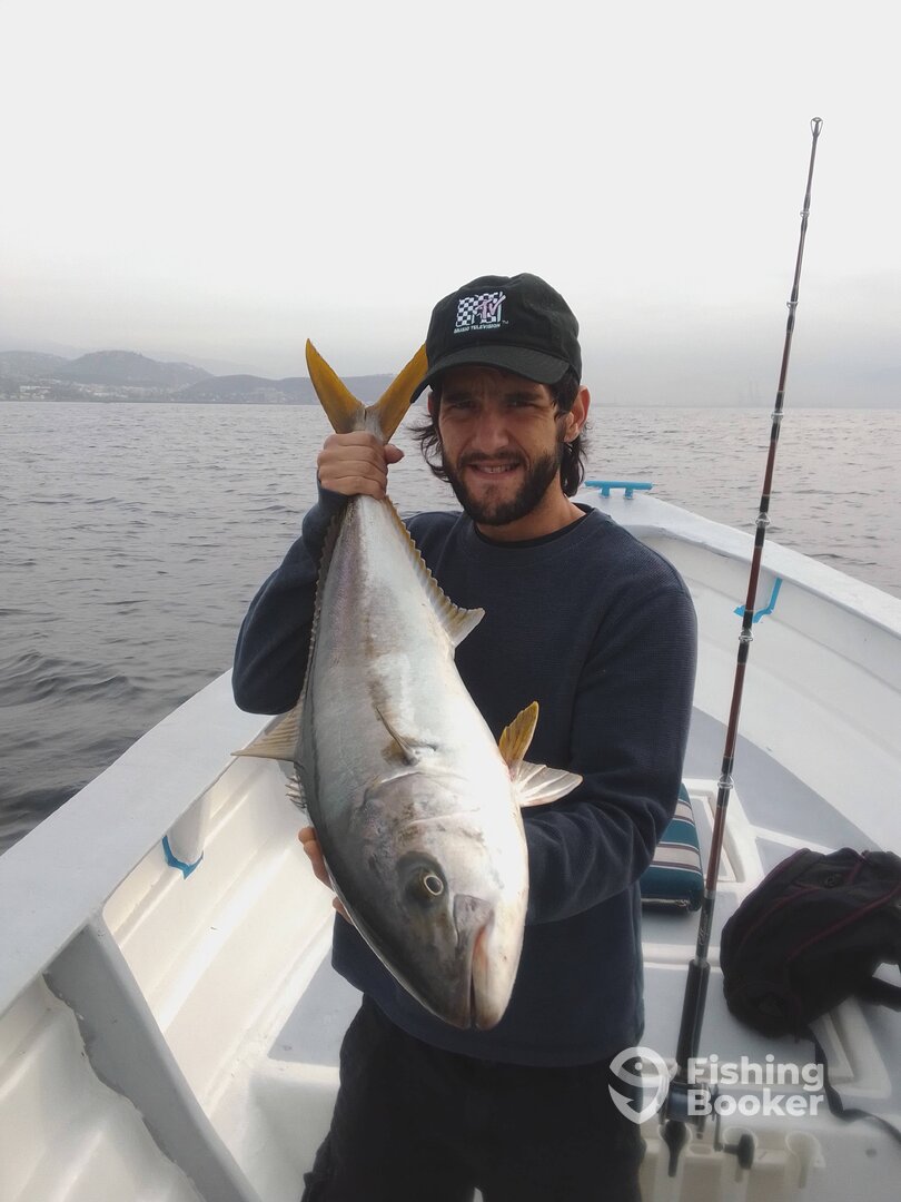 Ensenada Report Photo 0