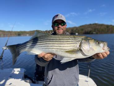 Cumming Report Photo 1