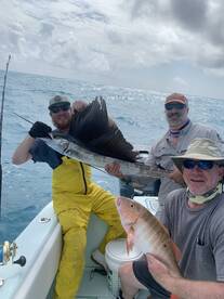 Sailfish season is kicking off