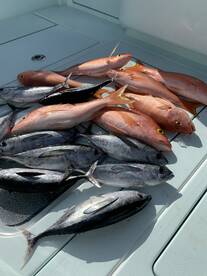 Key Largo Report Photo 2