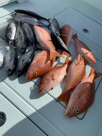 Key Largo Report Photo 1