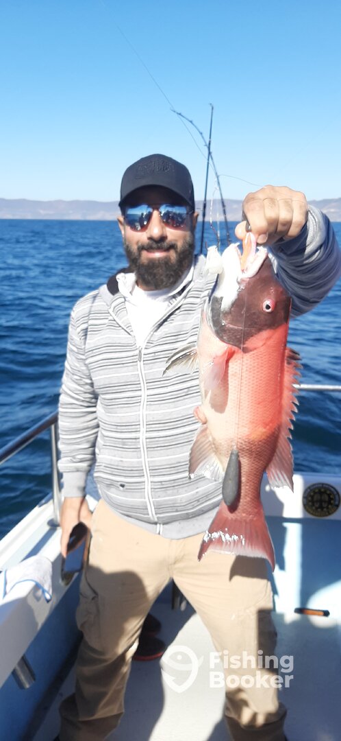 Ensenada Report Photo 0