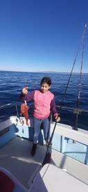 Ensenada Report Photo 1