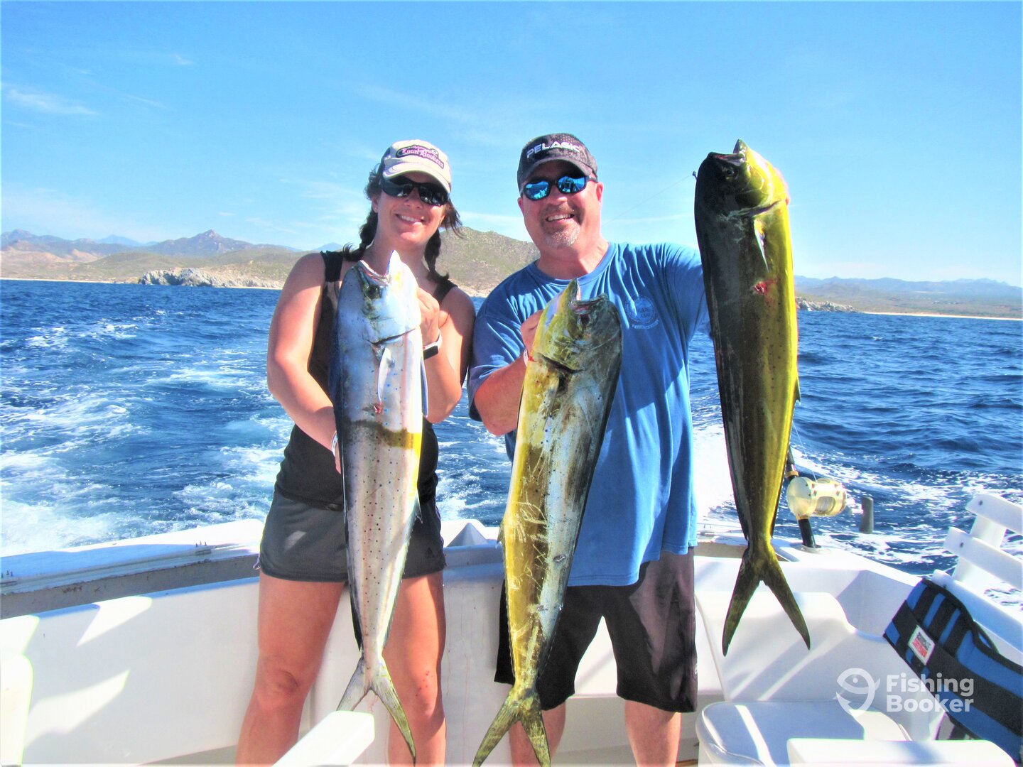 Cabo San Lucas Report Photo 0