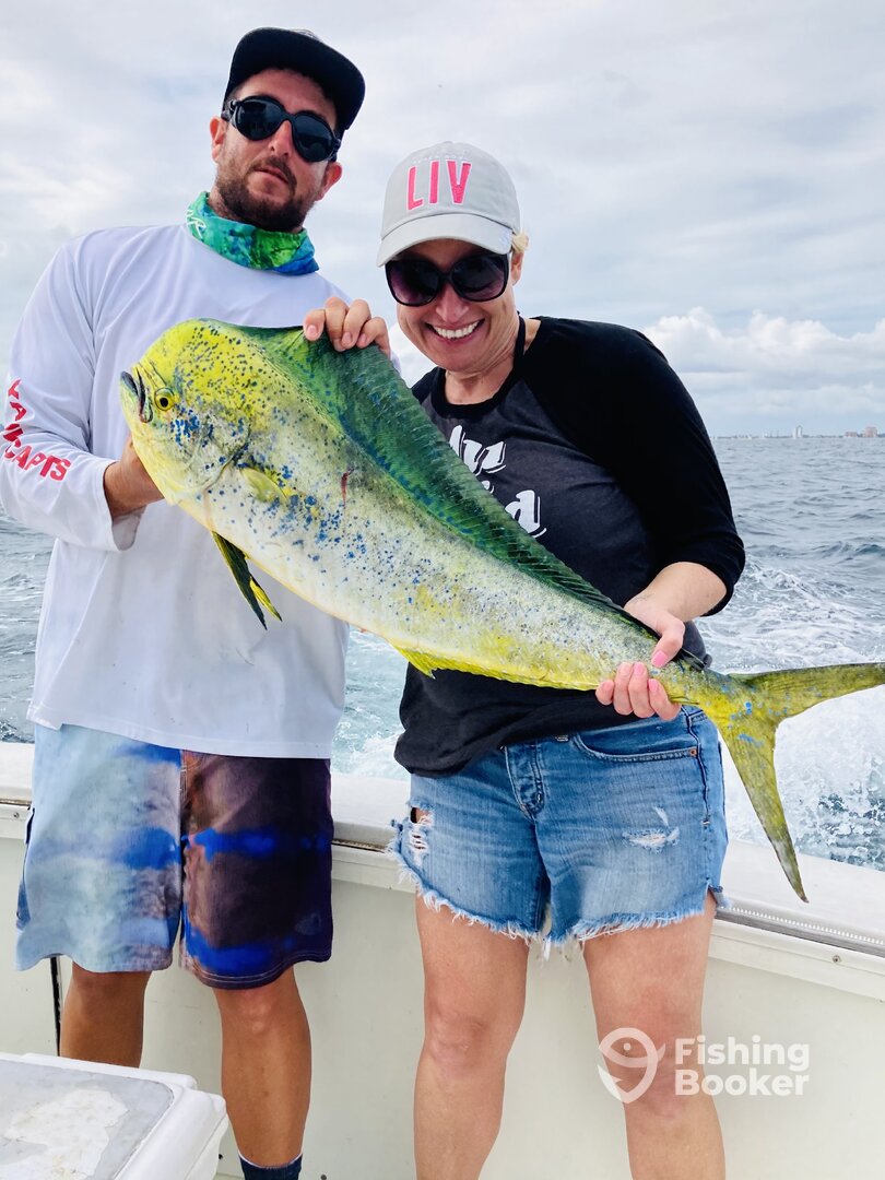 Dania Beach Report Photo 0