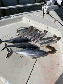 Fall Fishing in Full Swing