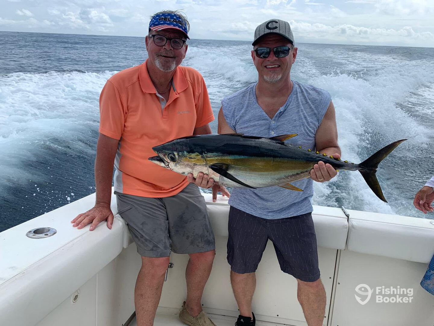 Yellow Fin Tuna. Mark Matthews