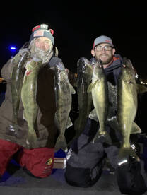 +20 Walleyes a night!