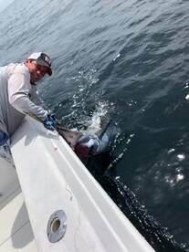 Herradura Report Photo 1