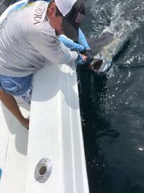 Herradura Report Photo 2