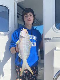 Intense Snapper bite is on