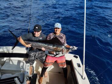 Sailfish Caught and relased