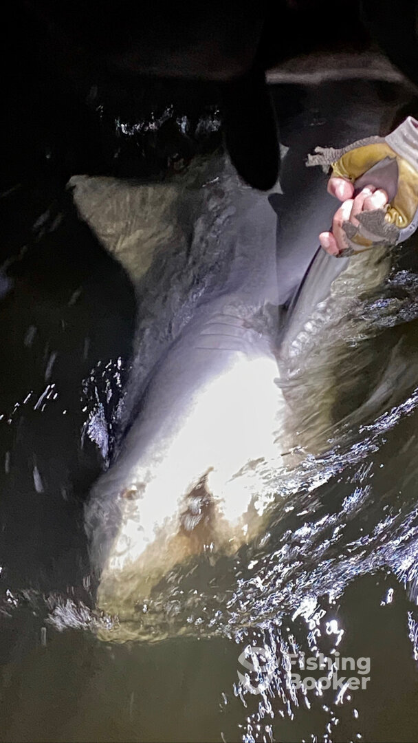 Tequesta Report Photo 0