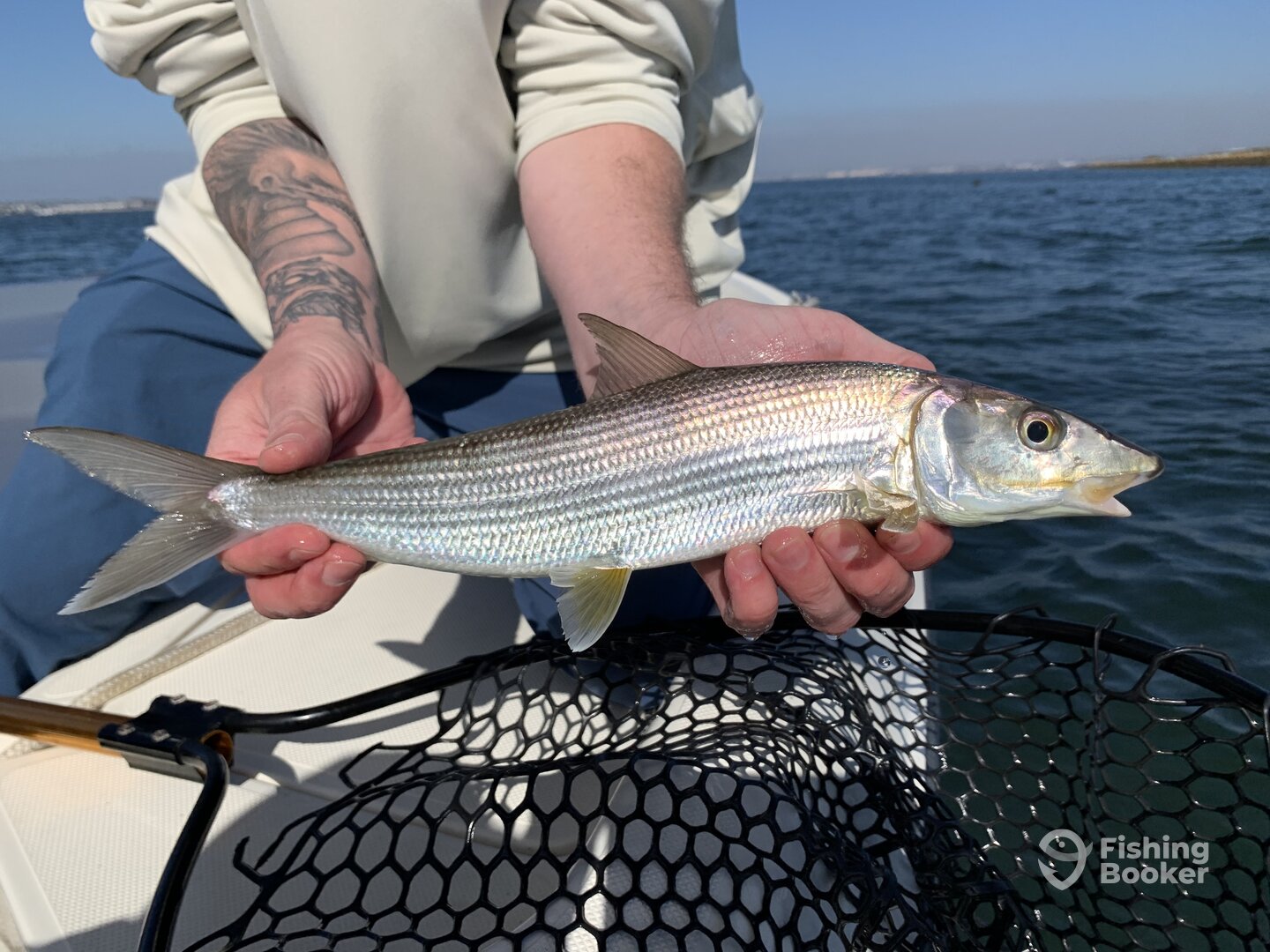San Diego Report Photo 0